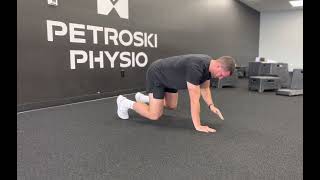 Quadruped Shoulder Taps [upl. by Hales]