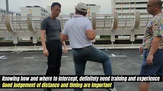 Wing Chun quotPlayfightingquot [upl. by Chandless]