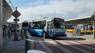 Delta 11012 Shuttle Bus amp PANYNJ 751 Orion VII NG on the Ride App Shuttle [upl. by Nosae297]