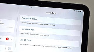 How To Activate eSIM in iPad Pro [upl. by Ellecram648]