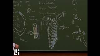 Thorax 1  Anatomie de la cage thoracique Ribthoracic cage [upl. by Kimura715]