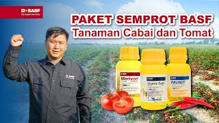 Paket Semprot Untuk Maksimalkan Panen Cabai amp Tomat [upl. by Laureen378]