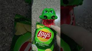 Crocs 🐊 wants to eat Lays Nori Seaweeds😅✌️arelzone shortfeed shortvideo shorts asmr [upl. by Brandice]