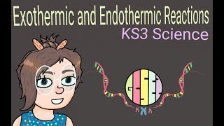 Science KS3  Endothermic and Exothermic Reactions [upl. by Nea959]