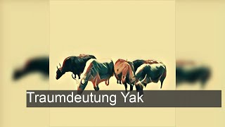 Yak  TraumDeutung [upl. by Sidman]