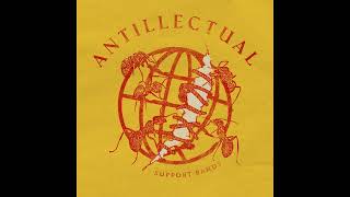 Antillectual  Support Bands [upl. by Marchak]