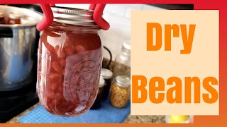 Canning Dry Beans Using Soak in the Jar Method  Rebel Canning [upl. by Caundra235]