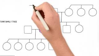 How to Draw a Family Tree  Part 2 Advanced [upl. by Revorg]