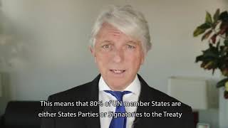 Arms Trade Treaty ATT A short video introduction [upl. by Scopp]