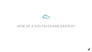 Roots Tutorial 1 Spin up a DigitalOcean Droplet [upl. by Nobel632]