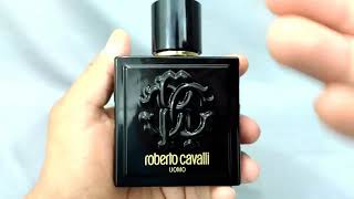 Roberto Cavalli Uomo  Fragrance Review [upl. by Gavriella]