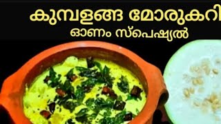 kumpalanga moru curryKerala style easy ashgourd curry kumpalanga recipes onam recipes [upl. by Ayvid]