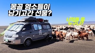 상처투성이 튜비 그리고 몽골 염소 조심하세요 feat 12V 소켓 문제  캠핑카 여행 브이로그 16 [upl. by Griffiths]