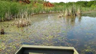 Okie Gator Airboat Experience [upl. by Inhoj124]