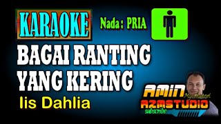 BAGAI RANTING YANG KERING Iis Dahlia KARAOKE Nada PRIA [upl. by Adnilasor]