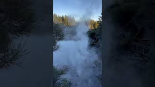 Waiotapu MUD POOL ROTORUA NEWZEALAND [upl. by Ilyk525]