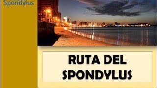 RUTA DEL SPONDYLUS  PRIMER SEMESTRE UNEMI [upl. by Wehttam963]