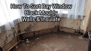 How To Sort Mould In A Bay Window Area [upl. by Skinner621]