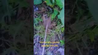 diy special garden tool [upl. by Kondon801]