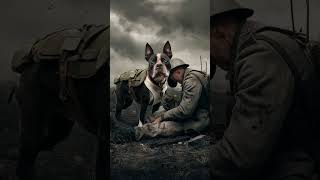 Stubby The Hero Dog Who Saved Lives in World War I  Amazing Real Stories and Legends of the World [upl. by Reidid857]