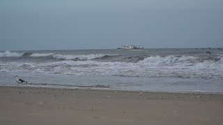 OBX Beach Report  111124  Outer Banks This Week [upl. by Judas]