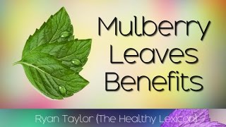 Mulberry Leaves Benefits Tea [upl. by Alvan808]