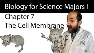 Chapter 7 – Membrane Structure and Function [upl. by Demah]