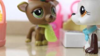 ❀ LPS Behind the Scenes Grocery Store [upl. by Epilihp692]