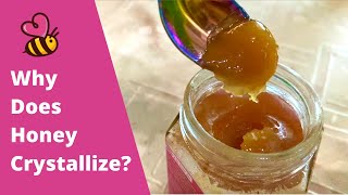 Why Does Honey Crystallize [upl. by Girish]