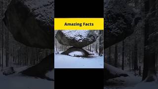 Amazing Facts 😱😱  amazingfacts  factbeast  interestingfacts  unknownfacts  afsar [upl. by Sicnarf]