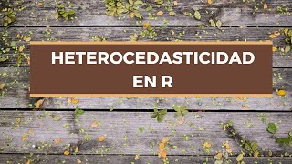 Heterocedasticidad en R Pruebas para detectarla [upl. by Loralie]