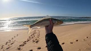 Far South Coast Beach Fishing [upl. by Kalmick]