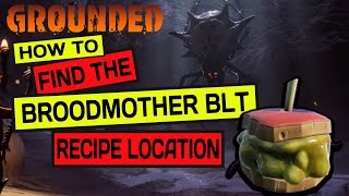 Grounded  Broodmother BLT recipe location [upl. by Nitram]