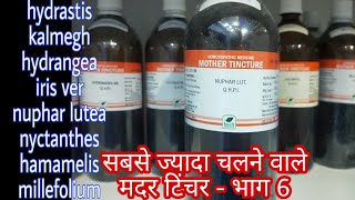 most useful mother tincture  6 hamamelis q nuphar lutea q kalmegh q hydrastis q nyctanthes q [upl. by Illom]