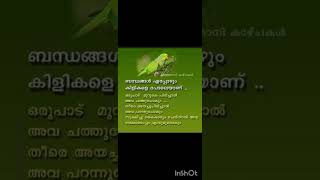 True words  Malayalam  shorts [upl. by Angie]