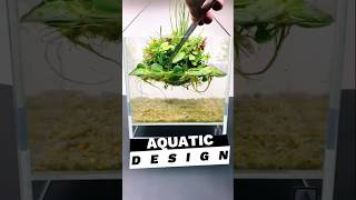 Aquatic Design aquascape [upl. by Mireielle]