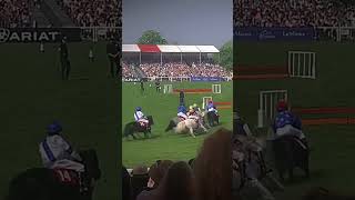 We watched the Shetland grand national at badminton yesterday [upl. by Anayd890]