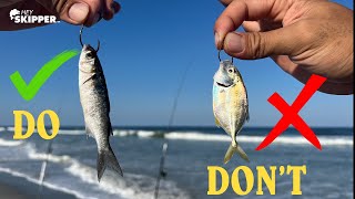 EPIC Surf fishing Method w LIVE Bait  Do’s and Don’ts to Catch MORE Fish  Top Beach Fishing Tips [upl. by Renmus]