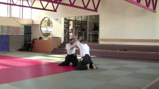 3 Kyu  Suwari waza  Shomen Uchi  Sankyo Omote [upl. by Hametaf106]