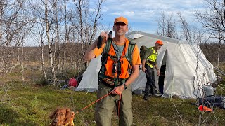 Finnmark 2024 Rypejakt og natur 5 menn og 4 hunder på tur fra 10 Sept [upl. by Anais70]