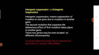 Intergenic or Extragenic Suppression  Genetic suppression part 2 [upl. by Sherris]