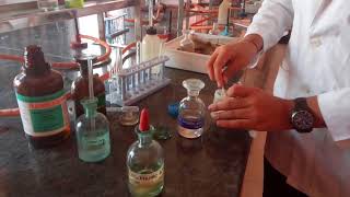 Test for Chloride ion in Lab by Seema MakhijaniNEETJEE prep [upl. by Assirac]