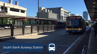 Brisbane TransLink Bus Vlog 2 Buses at South Bank Station [upl. by Niwle931]