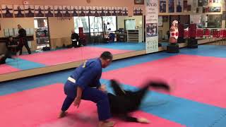 Hapkido punch defense takedown techniques [upl. by Nivlem393]