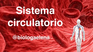 Sistema Circulatorio  Conceptos generales  Biología [upl. by Serg]