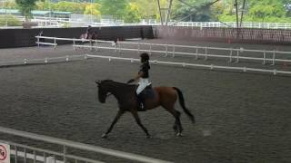 Girl cantering along coolly until all hell break loose [upl. by Deedee]