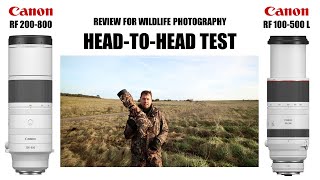 Canon RF 200800 vs RF 100500 Lens Review for Wildlife Photography [upl. by Guillaume]