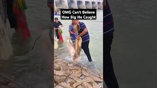 Omg cant believe how big he caught fishinglife fishtank fisherman fishvideo river aquarium [upl. by Iyre]