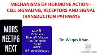 Mechanisms of Hormone Action Second Messengers GPCR  EnglishHindi  NEXT NEETPG MBBS [upl. by Ardnak]