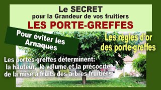 Le SECRET pour bien choisir vos arbres fruitiers les portegreffes La taille hauteur précocité [upl. by Acinor]